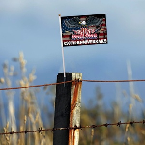 Bandierine Personalizzate USA 250° Anniversario, Aggiungi il Tuo <span class=keywords><strong>Logo</strong></span>, Bandiera a Mano Personalizzata 1776-2026 per Eventi, 5x8 Pollici - Product Image 6