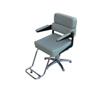 [ECCLIM]JACOB 200 EC-006 Chaise de Salon de Coiffure Commerciale en Acier Inoxydable Design Moderne Construction Robuste Aspect Épuré