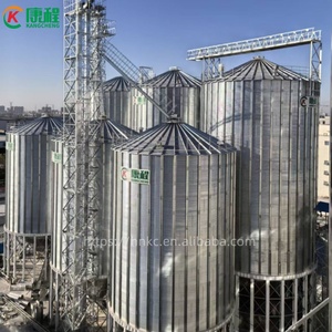 Silo de stockage de céréales <span class=keywords><strong>en</strong></span> acier galvanisé de 5000 tonnes, à fond plat, haute résistance, pour blé, maïs, riz, soja - <span class=keywords><strong>Vente</strong></span> chaude - Product Image 5
