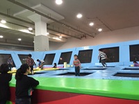 Trampolín Rectangular de Fitness para interiores/exteriores Unisex personalizado con materiales de PP de acero plástico