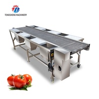 Convoyeur de tri Fruits et légumes Convoyage Machines Table de travail de sélection de classement manuelle