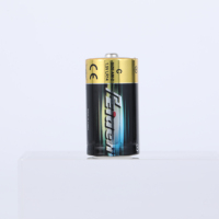 Piles alcalines de type C Reiden LR14 en gros, 1,5 V, adaptées aux lampes de poche, aux appareils électroménagers et aux outils.