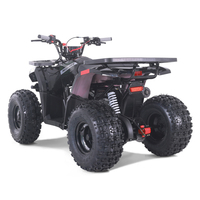 Tao Motor 2024 nouveau 110cc 125cc 150cc essence automatique enfants Quad Bike ATV