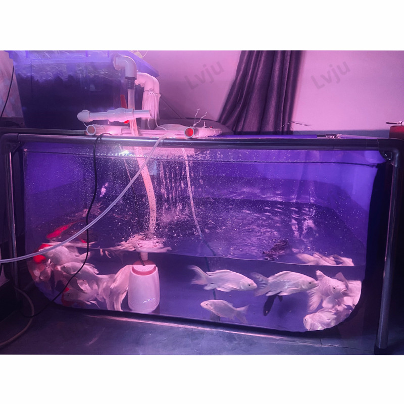 660 Contoh Landscape Aquarium HD