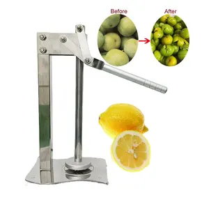 Hand Press Easy to Use Manual Citrus Juicer Lemon Slice Squeezer Mincer