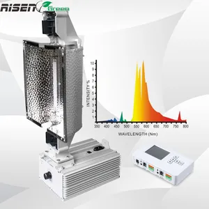 1000 W HPS دي تنمو ضوء 1000 واط مزدوجة المنتهية ارتفاع ضغط مصباح الصوديوم مع كابح تيار إلكتروني