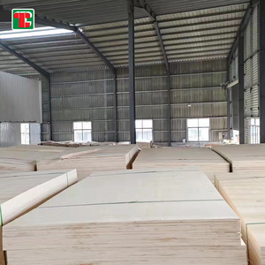 1 ، 3 ، 5 <span class=keywords><strong>Basswood</strong></span> Bass للقطع بالليزر 3 ، 2 <span class=keywords><strong>Basswood</strong></span> <span class=keywords><strong>Basswood</strong></span> - Product Image 3