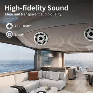 Accuracy Pro Audio RA-YH01 6,5 pulgadas 2 vías IP66 altavoz de barco altavoces marinos impermeables profesionales para yate de barco - Product Image 3