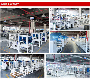 เครื่องซีลข้างอัตโนมัติสำหรับงานบรรจุภัณฑ์ถุงหลากหลายประเภท เครื่องซีลแบบอัตโนมัติแบบเป็นช่วงๆ - Product Image 1