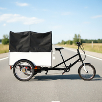 Tricycles électriques à 3 roues pour adultes, scooter électrique, vélos électriques, tricycle de livraison électrique, tricycle cargo