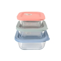 Boîte à lunch carré en verre borosilicate, facile à transporter, boîte à lunch pour travailleurs de bureau avec couvercle en silicone