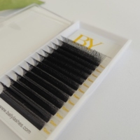 Extensions de cils 5D en W, cils individuels en W 0,07 mm C CC D, super doux, faits à la main, en cheveux synthétiques, qualité supérieure naturelle, éventails pré-faits