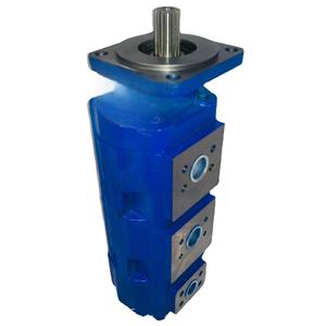 Pompe à huile hydraulique triple Huamao CPP1-63/63/30L-113, plusieurs modèles disponibles - Product Image 1