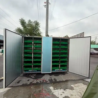 Machine à Germer les Légumineuses Entièrement Automatique à Commande PLC, Capacité 200 kg, avec Rapport Fourni
