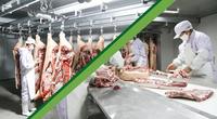 Almacén Refrigerado Industrial para Carne, Almacenamiento a Largo Plazo de Carne Congelada, Tamaño Personalizado, Motor Automático, Energía Solar