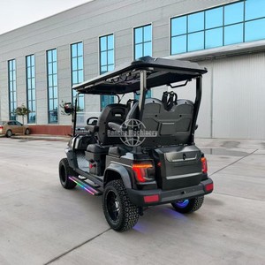 Nouveau design de voiturette de golf pour le tourisme - Product Image 2