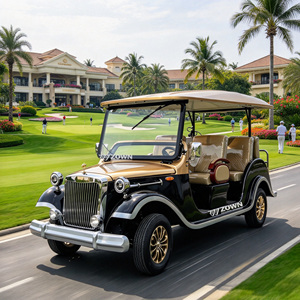 Auto Eléctrico Clásico Vintage ZOWN de 4 Ruedas, Color y Tamaño Personalizables, 2 Años de Garantía, Venta Directa de Fábrica - Product Image 1