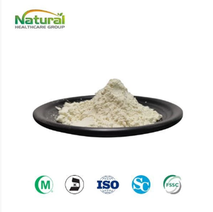 Polvo de Almendra China al por Mayor de Fábrica, Materia Prima de Semilla de Prunus Dulcis, Grado Alimenticio y Cosmético, Secado por Aspersión - Product Image 1