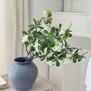 Feuilles artificielles de Pittosporum Yasunobu, fleurs en vase, fleurs en soie blanches et roses, 100 cm-200 cm, décoration d'intérieur - Product Image 2