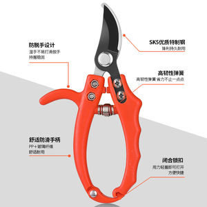 Pinheng Sk5 Pruning Shears Bypass 10-20 Mm Red Manual Garden <b>Tool</b> For Tree Trimming And Grafting - Product Image 2