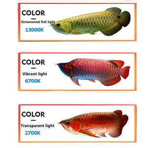 Zaohetian-luz de bronceado <span class=keywords><strong>T8</strong></span> UVA/B para arowana, luz <span class=keywords><strong>fluorescente</strong></span> para <span class=keywords><strong>acuario</strong></span>, 13000k - Product Image 4
