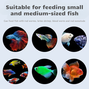 Alimentador de peces de gusano rojo para acuario, contenedor de comida flotante de acrílico transparente para peces - Product Image 3