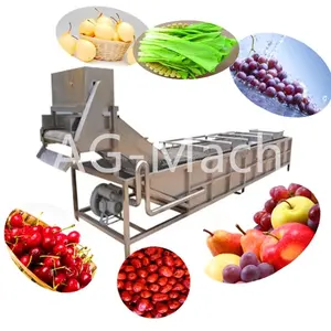 Stainless Steel SUS304 Air Bubble Washer leek lettuce Washing Machine for Sale