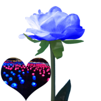 Prodotti innovativi 2017 decorazione fase di Nozze fiore Led della rosa fiori artificiali