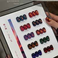 Suuseegel 2026 Nouveau Kit de Vernis Gel UV Magnétique Effet Œil de Chat Multicolore 10 Couleurs Non Toxique pour Nail Art