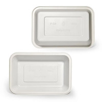 Groothandel wegwerp PP plastic voedselbakjes magnetronbestendig voor vlees, groenten en fruit voor supermarkten en catering