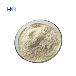Lactobacillus Plantarum H6 Inactivado de Grado Alimenticio, Suministro de Fábrica HNB, Lactobacillus Plantarum Postbiótico No Viable - Product Image 3
