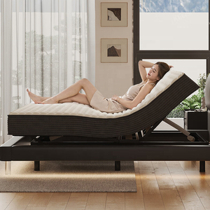 Ergonomic nữ hoàng có thể điều chỉnh giường Cơ sở không dây điều khiển từ xa Thì Thầm yên tĩnh động cơ bền độc lập đầu chân nghiêng nệm - Product Image 5