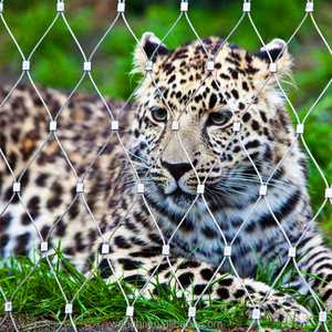 Nhà Máy Giá dây dây lưới 201.304.304l, 316.316l lưới thép không gỉ cho vườn thú - Product Image 5