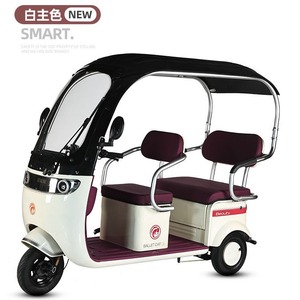 <b>Pedal</b> Tricycle with Canopy 3 Seats 48V Closed Body 200-300kg Payload Capacity for Passenger and Cargo Transport - Product Image 5