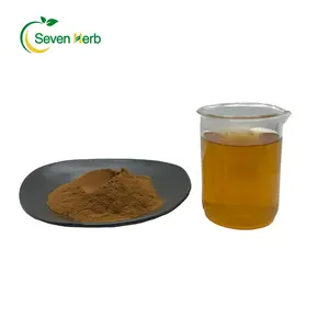 Extrait de Chuanxiong naturel pur extrait de Ligusticum Chuanxiong Hort poudre de rhizome de livèche Szechuan