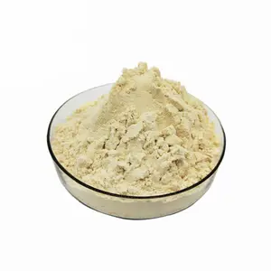 Poudre de racine de gingembre soluble, 1 pièce, haute qualité, vente au détail