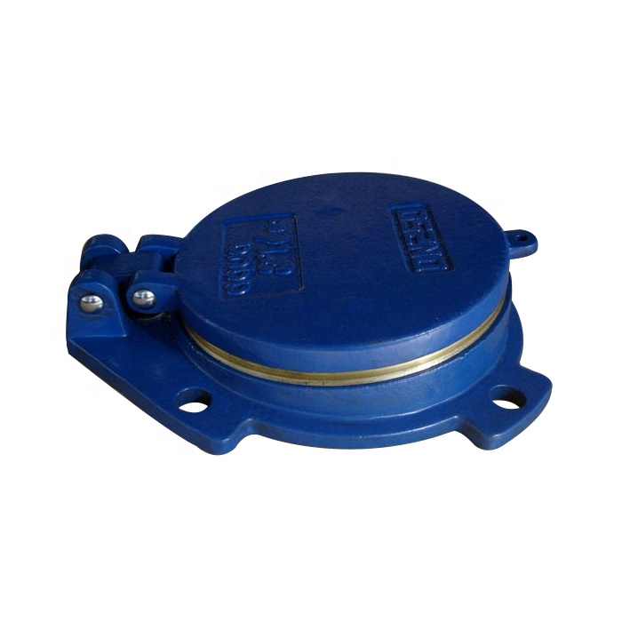 Customized Ductile Cast Iron Flap Valve with Bronze Sealing