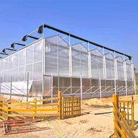 Serre hydroponique en polycarbonate moderne Sinok Serres agricoles pour tomate fraise laitue Serre Agricole
