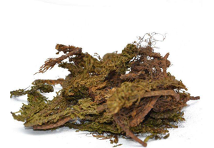 Huperzia Serrata chiết xuất <span class=keywords><strong>huperzine</strong></span> hupa <span class=keywords><strong>huperzine</strong></span> serrate p.e Hup 98% <span class=keywords><strong>hplc</strong></span> - Product Image 3