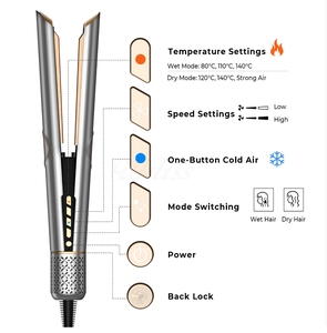 ไดร์เป่าผมแบบ 2-in-1 พร้อมที่หนีบผมตรง ไฟ LED เป่าผมแห้งเร็ว ควบคุมอุณหภูมิได้ ใช้จัดแต่งทรงผมได้ที่บ้าน - Product Image 4