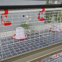 Nouvelle cage à batterie de type H pour l'élevage de poulets de chair avec système de fumier manuel