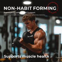 Poudre de récupération musculaire sans sucre, marque privée OEM, complément énergétique après l'entraînement, favorise la santé musculaire et l'énergie