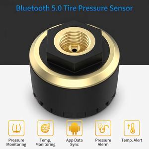 Système de surveillance des pressions des pneus BLE TPMS 5.0 pour camions, moniteur externe, prise en charge de l'application Android et iOS, téléchargement, antivol, étanche, pour véhicules utilitaires - Product Image 2