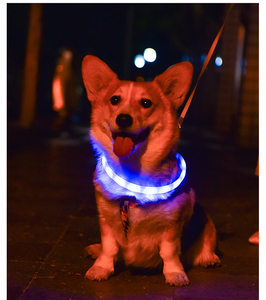 Collier lumineux LED pour animaux de compagnie, rechargeable par USB, pour la promenade en extérieur des chiens, collier anti-perte - Product Image 2