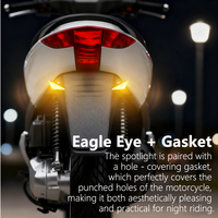 Lumière décorative de moto JHS Triangle Devil Eagle Eye pour voiture Accesorios Para Moto Motorbike