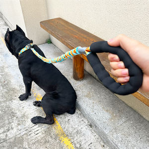 Correa personalizable popular barata a prueba de explosiones para perros grandes y <span class=keywords><strong>collar</strong></span> ajustable al por mayor de cuerda para mascotas - Product Image 3