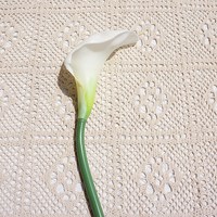 Calla Lily seperti hidup Gel lembut bunga buatan dekorasi rumah Model ruangan menampilkan karangan bunga pernikahan alat peraga fotografi