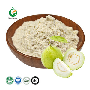 Натуральный экстракт гуавы Fruiterco в порошке, порошок сока гуавы - Product Image 1