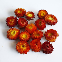 Fleurs séchées en gros, en vrac, éternelles, avec fleurs pressées mélangées, matériel floral pour la décoration intérieure, cadre photo, parfumées