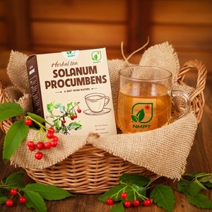 Bolsitas de Té Herbal de Solanum Procumbens Marca NMPT, OEM ODM, Té Ca Gai Leo, Bebida Herbal Natural para Importación al por Mayor - Product Image 1